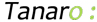 TANARO MANAGEMENT